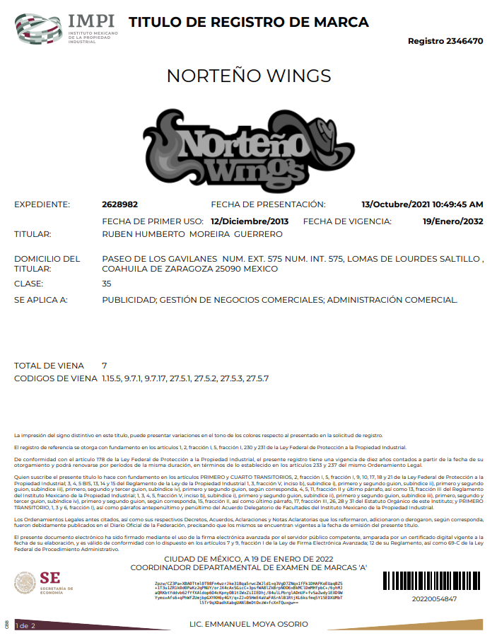 Imagen ampliada 9